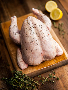 Poultry